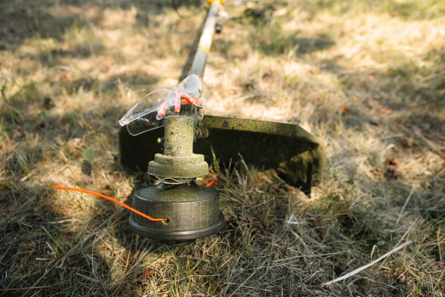 Cea Mai Buna Motocoasa